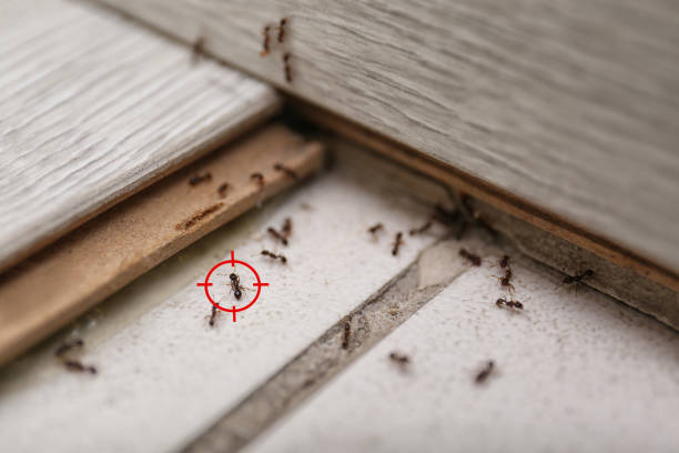 Pest Control for Restaurants in Eddington, PA