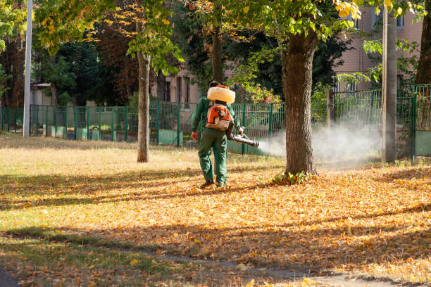 Best Mosquito Control Services  in Eddington, PA