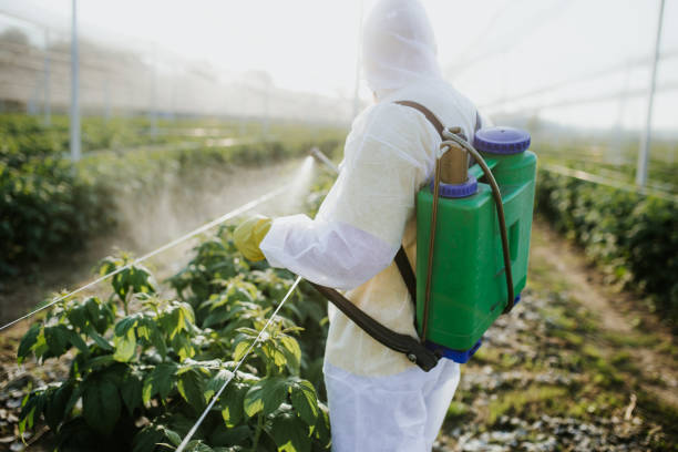 Eddington, PA Pest Control Company
